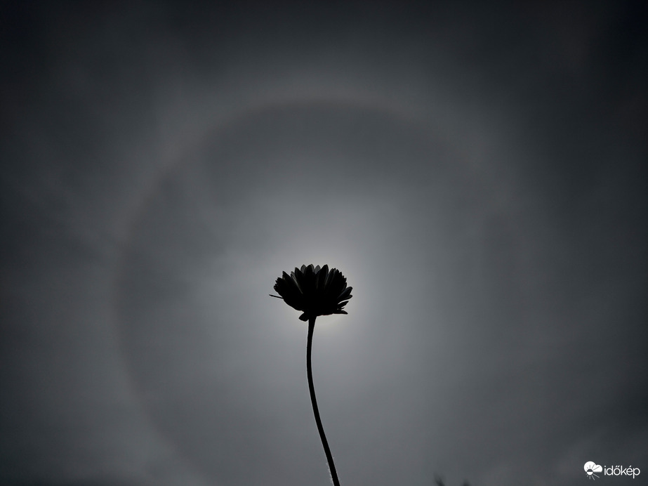 Naphalo a zápor után