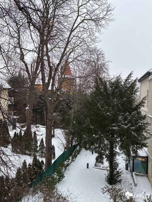 Budapest II.ker - Rózsadomb