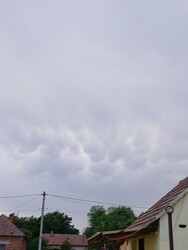 Görgeteg