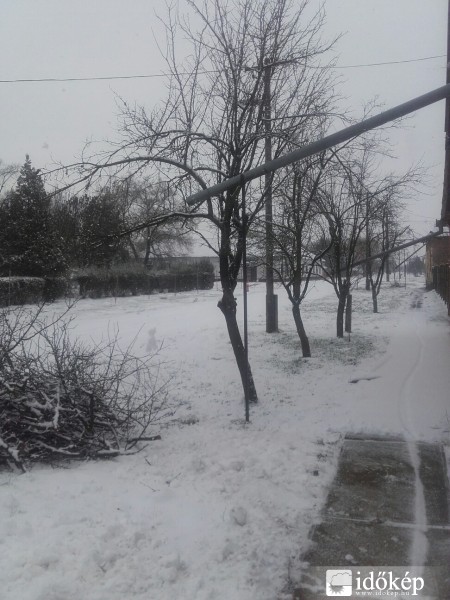 Észlelési fényképek