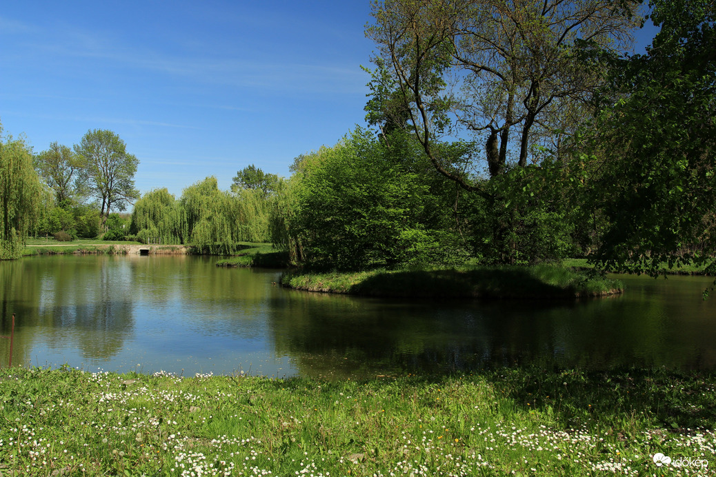 Természet