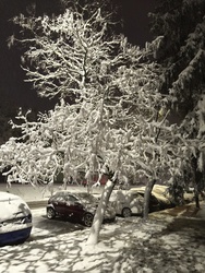 Amikor a fa àgai hóból vannak. :)