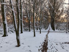 ... a titkos ösvények előbukkantak ...