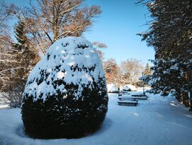 Kaposvár Szabadság park 6