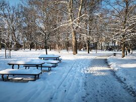 Kaposvár Szabadság park 3