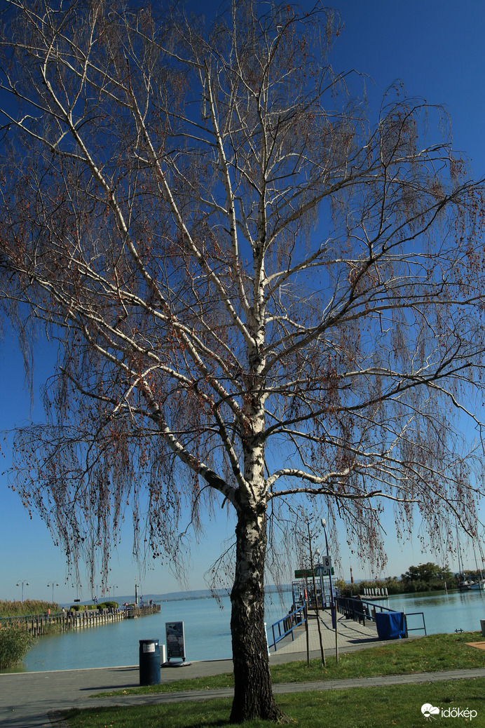 Badacsony hajó kikötő