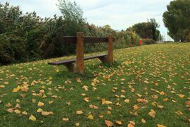 A nádi rigó megfigyelésére tökéletes ez a pad választás, bár a Balaton északi partja itt a fantáziánkra van bízva.