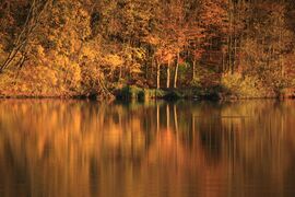 ... őszi színek ...