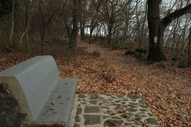 ... egy kis pihenő  ...