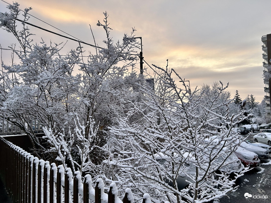 Észlelési fényképek