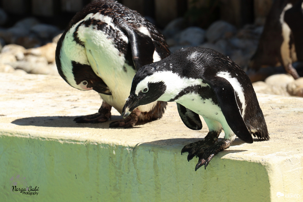 Háromra ugrok - eeegy, keeeettő