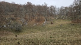 A karszthegység egyedisége