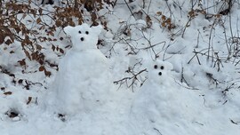 Jegesmedvék a Bükkben :)