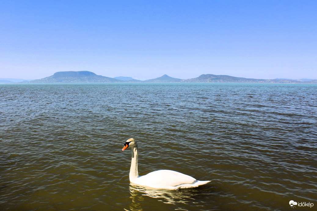 Balaton