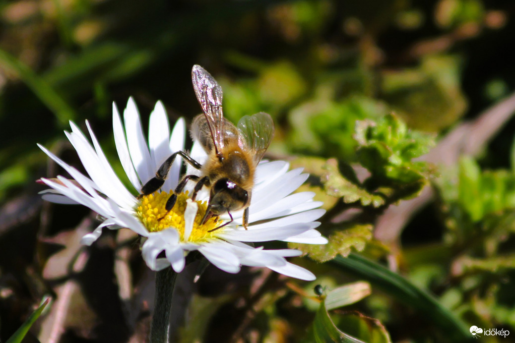 Elkezdődtek a tavaszi munkák