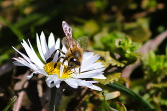 Elkezdődtek a tavaszi munkák