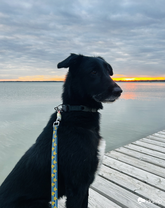 Szép a naplemente, de nem szebb nálam