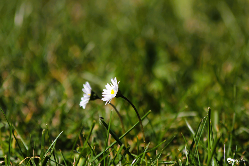 Süss ránk napocska :)