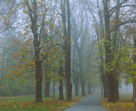 Beült hozzánk a köd