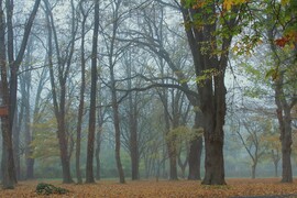 Köd előttem, köd mögöttem
