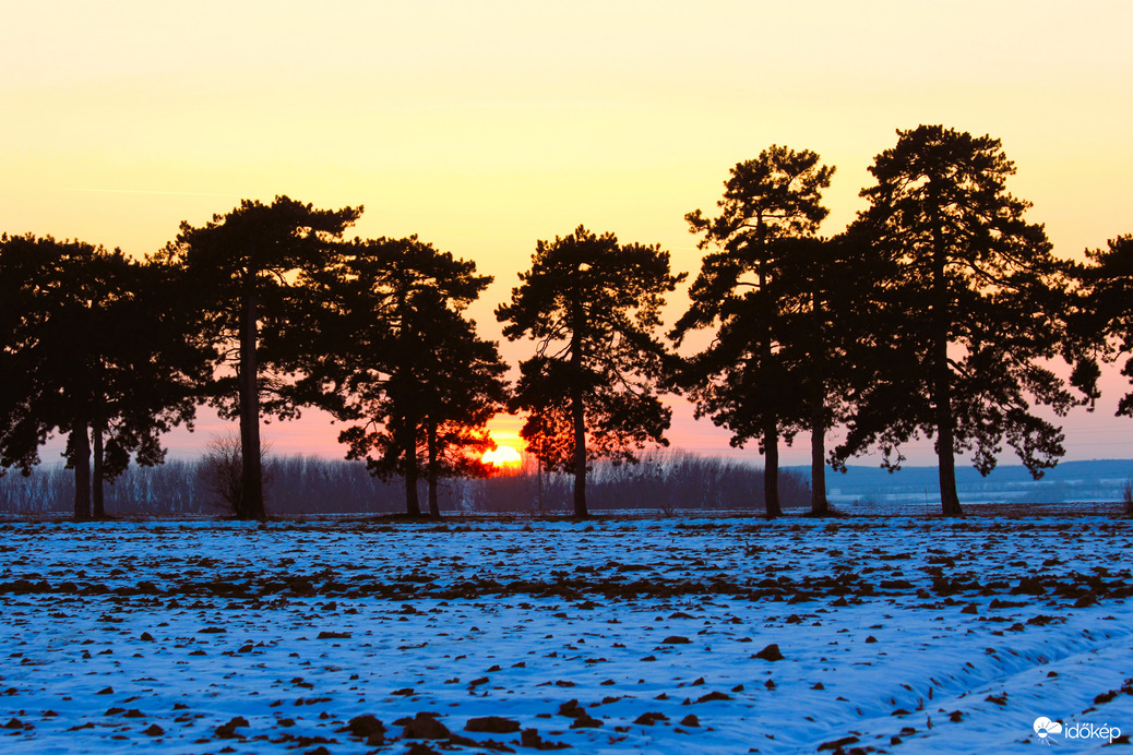 Épp elcsíptük, mielőtt lement a fenyők közt