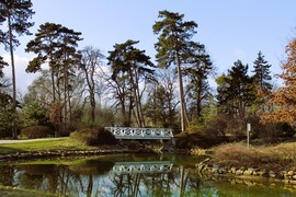 Festetics-kastély park