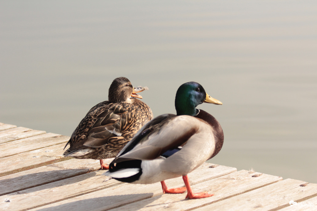 Úgy érzem figyelnek minket :-)
