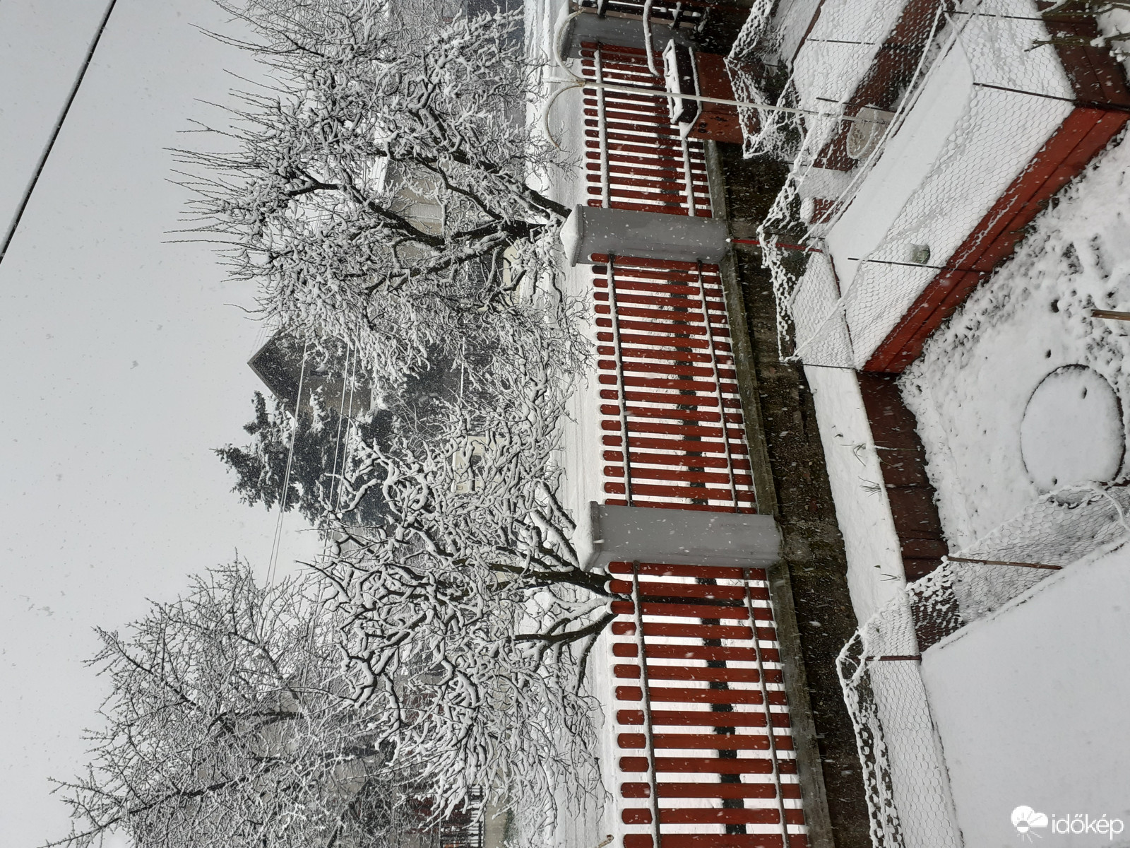 Észlelési fényképek