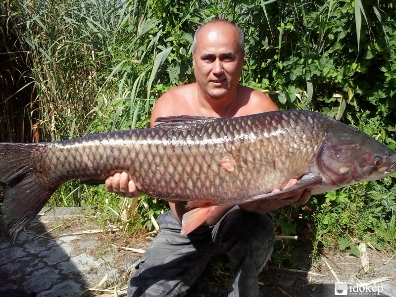 Ráckevei Duna  13,38-kg