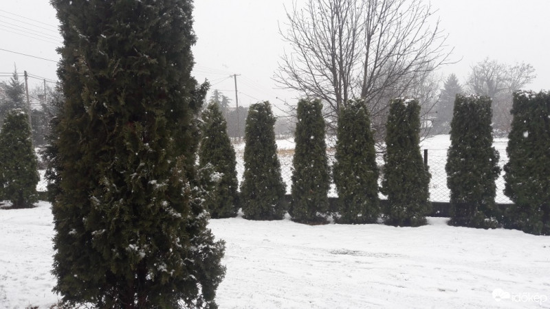 Észlelési fényképek