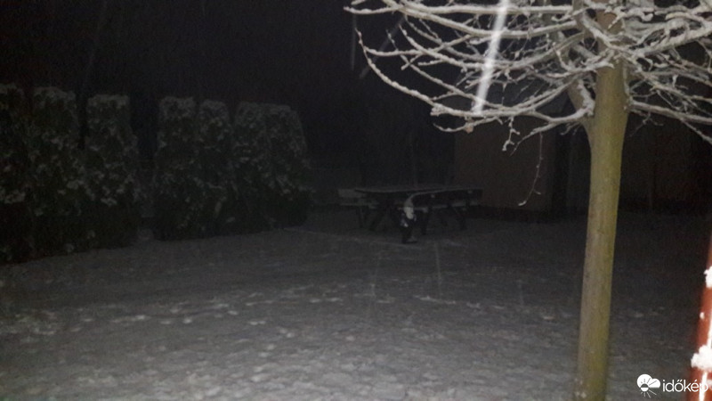 Észlelési fényképek