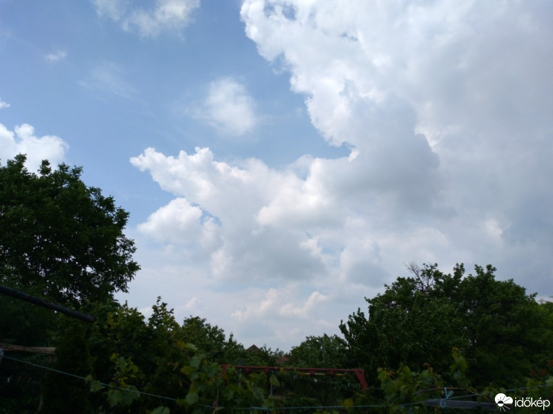 Észlelési fényképek