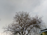 Ráckeve
