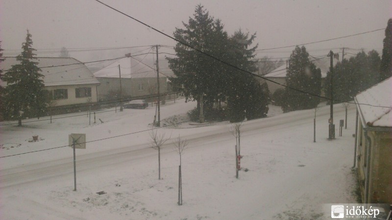 Észlelési fényképek