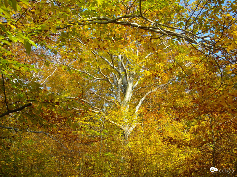 Miskolc, Bükkszentkereszt
