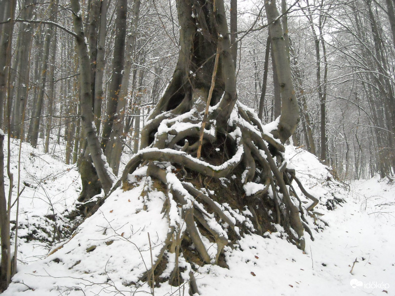 Miskolc, Lillafüred 