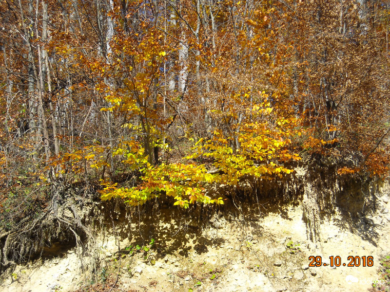 Miskolc, Ómassa felé