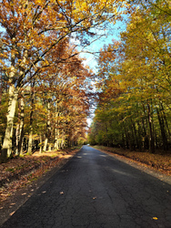 Vihar előtti csend az Őrségben 