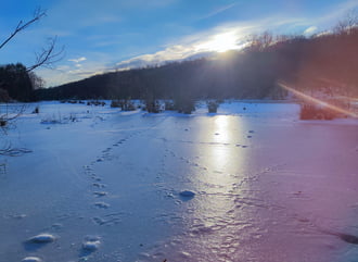 Ezen a héten is szép volt 