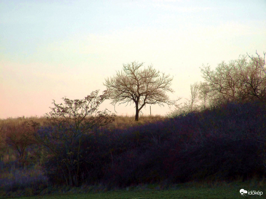 Tájkép
