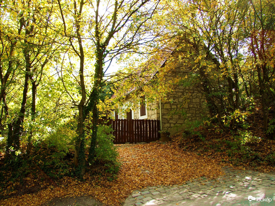 Házikó a borvidéken 