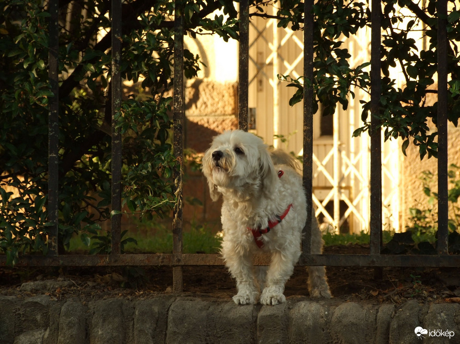 Itt kint milyen a levegő? :))