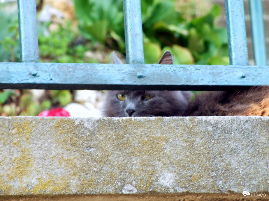 Gyánús vagy te nekem! :)