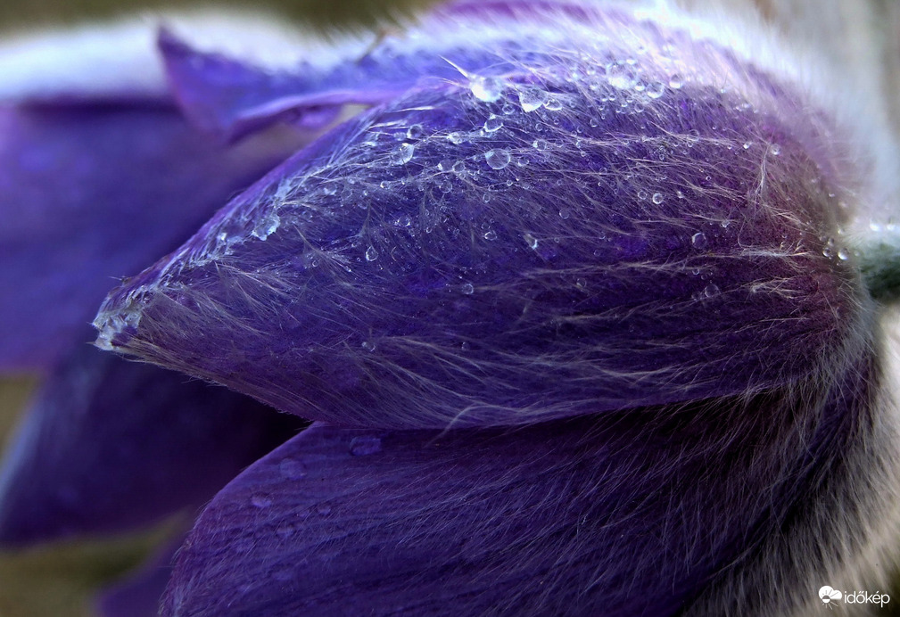 Beázás elleni védelem :)