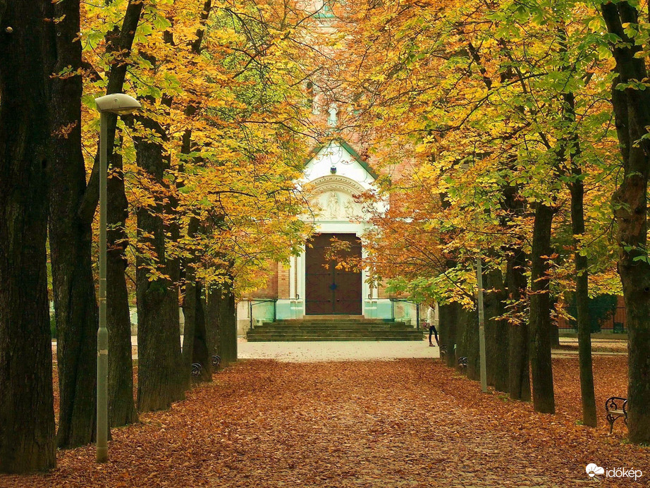 Képek a Remete-szurdokból 