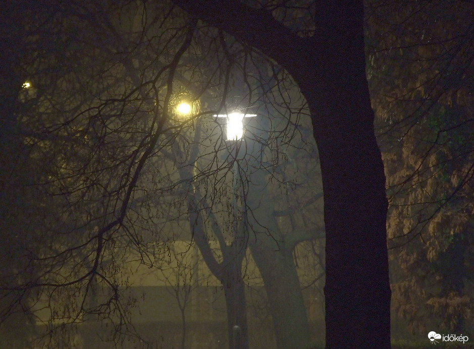 Éjjel a parkban 2.0 :) 