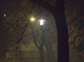 Éjjel a parkban 2.0 :) 