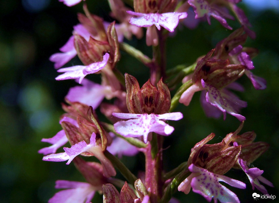 Mi mindig vidámak vagyunk! :) 