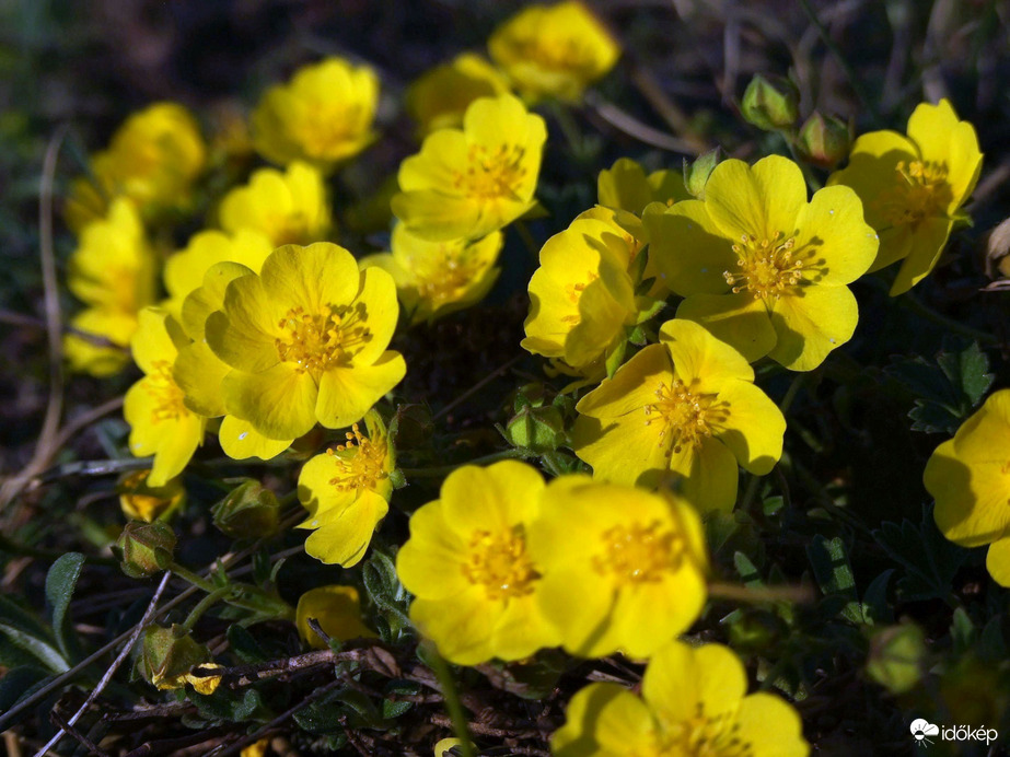 Az út második fele