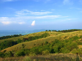 A Szénásokon 